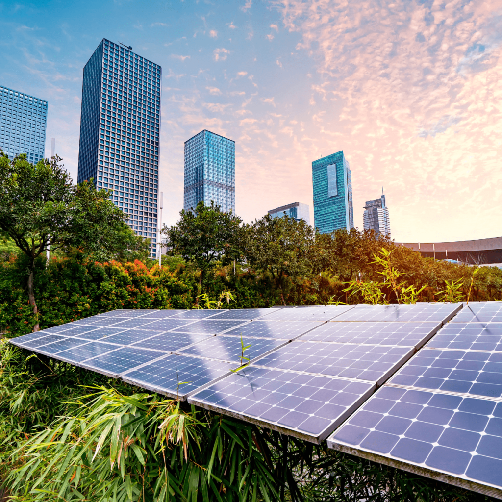 renewable-energy-sector