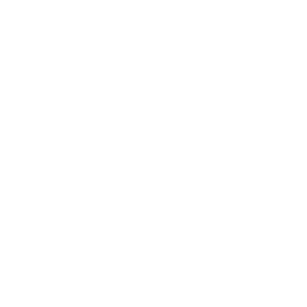 Team Augmentation